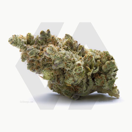 Shango - Grease Monkey - 1