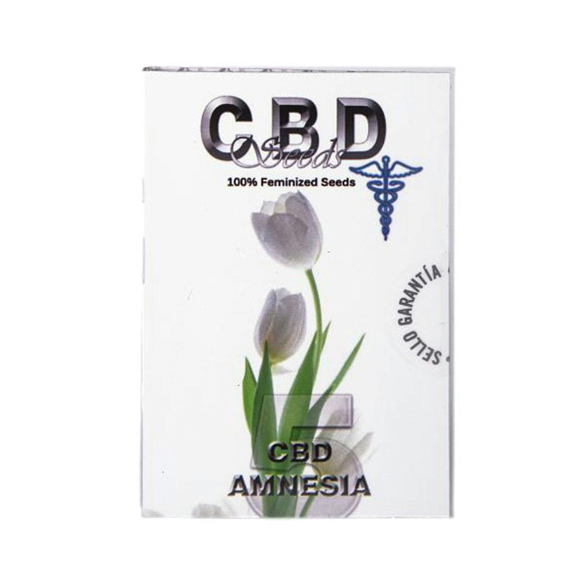 CBD Seeds - CBD Amnesia 5 - 1