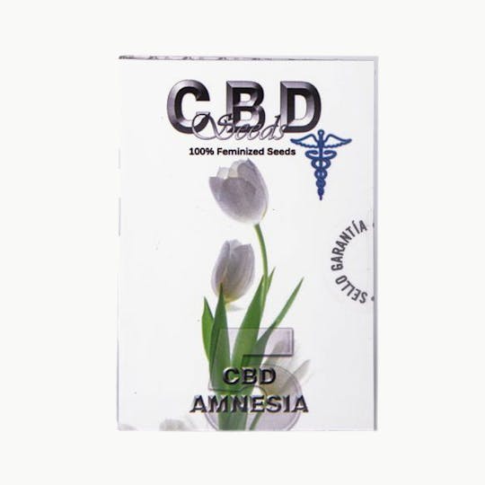CBD Seeds - CBD Amnesia 5 - 1