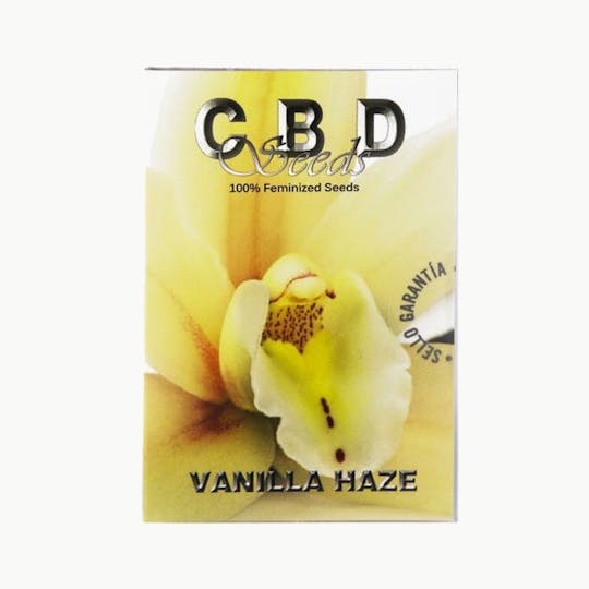 CBD Seeds - Vanilla Haze - 1
