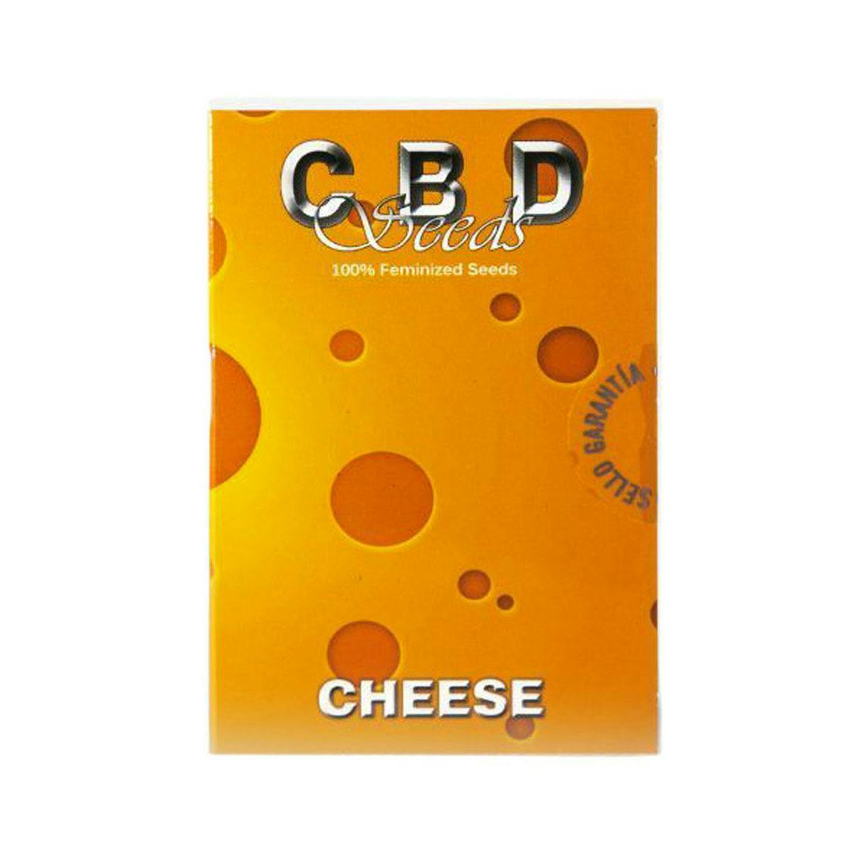 CBD Seeds - Cheese - 1