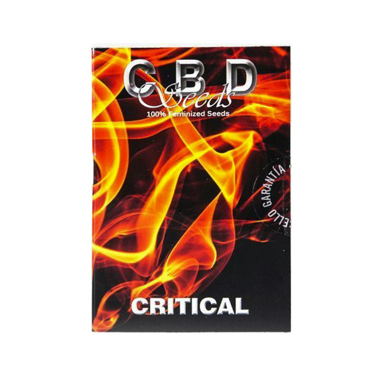 CBD Seeds - Critical - 1