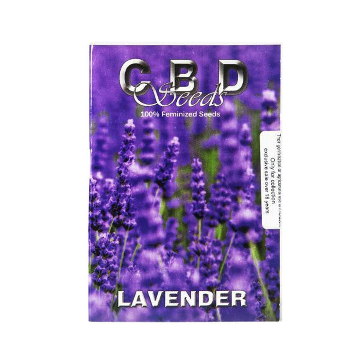 CBD Seeds - Lavender - 1