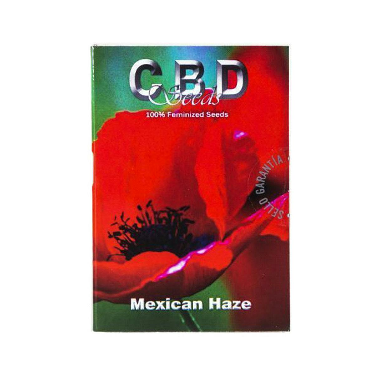 CBD Seeds - Mexican Haze - 1