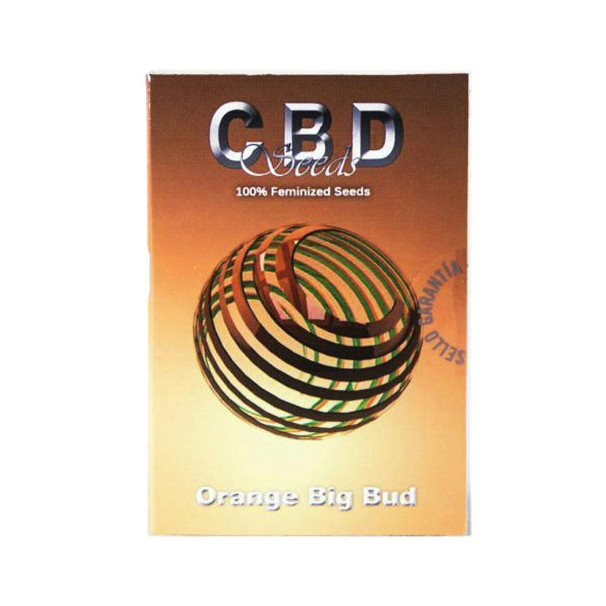 CBD Seeds - Orange Big Bud - 1