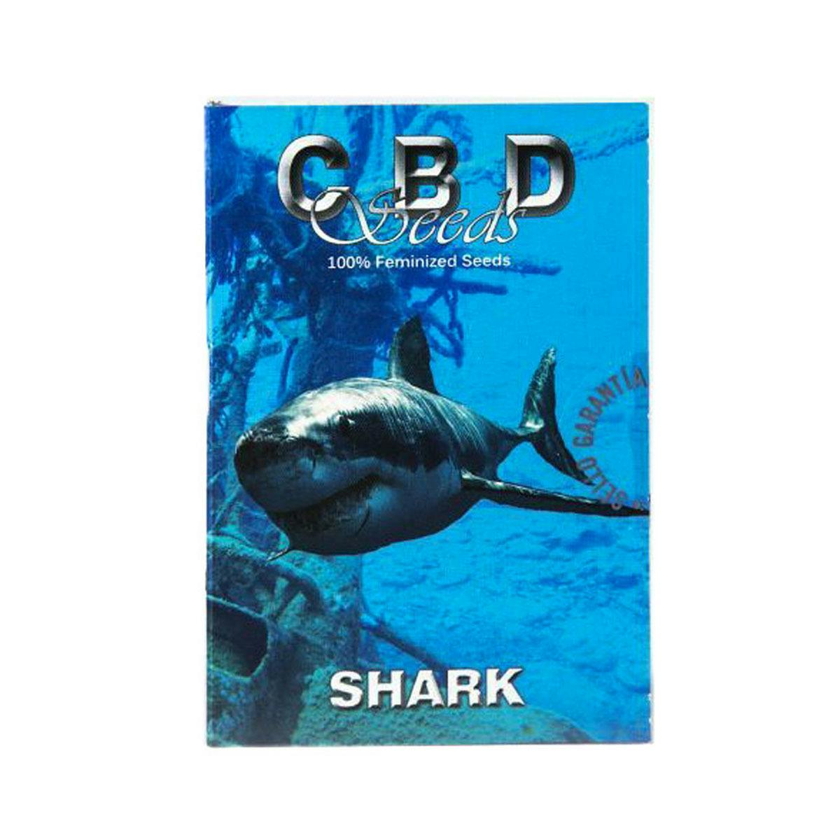CBD Seeds - Shark - 1