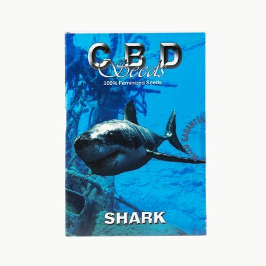 CBD Seeds - Shark - 1