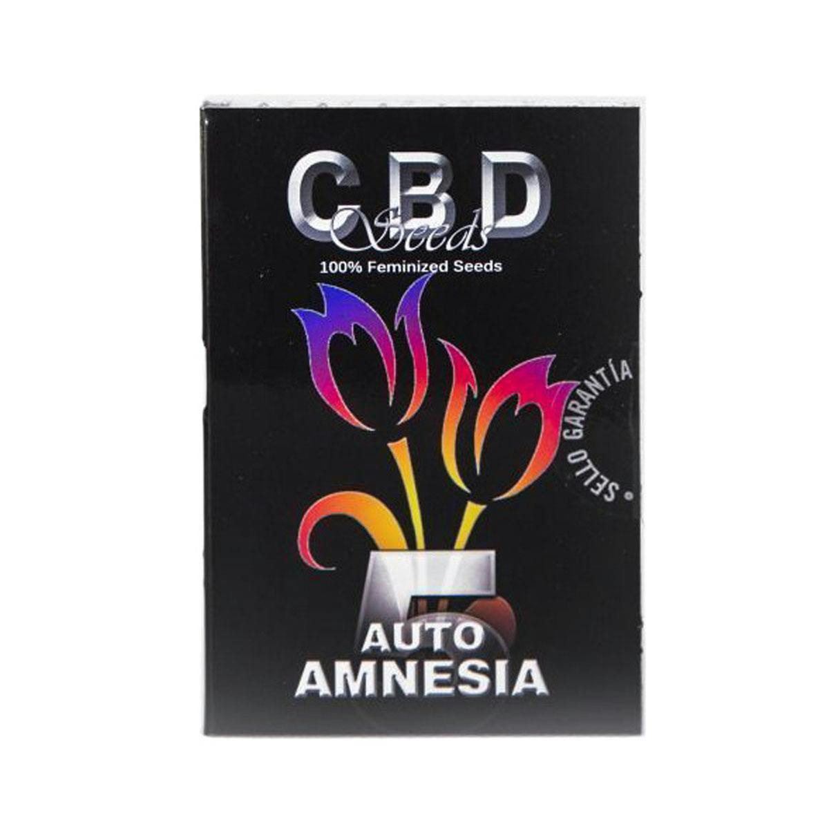 CBD Seeds - Auto Amnesia - 1