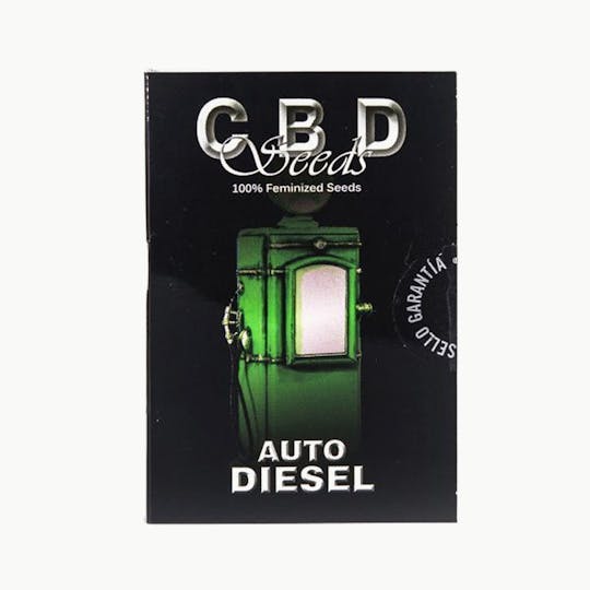 CBD Seeds - Auto Diesel - 1