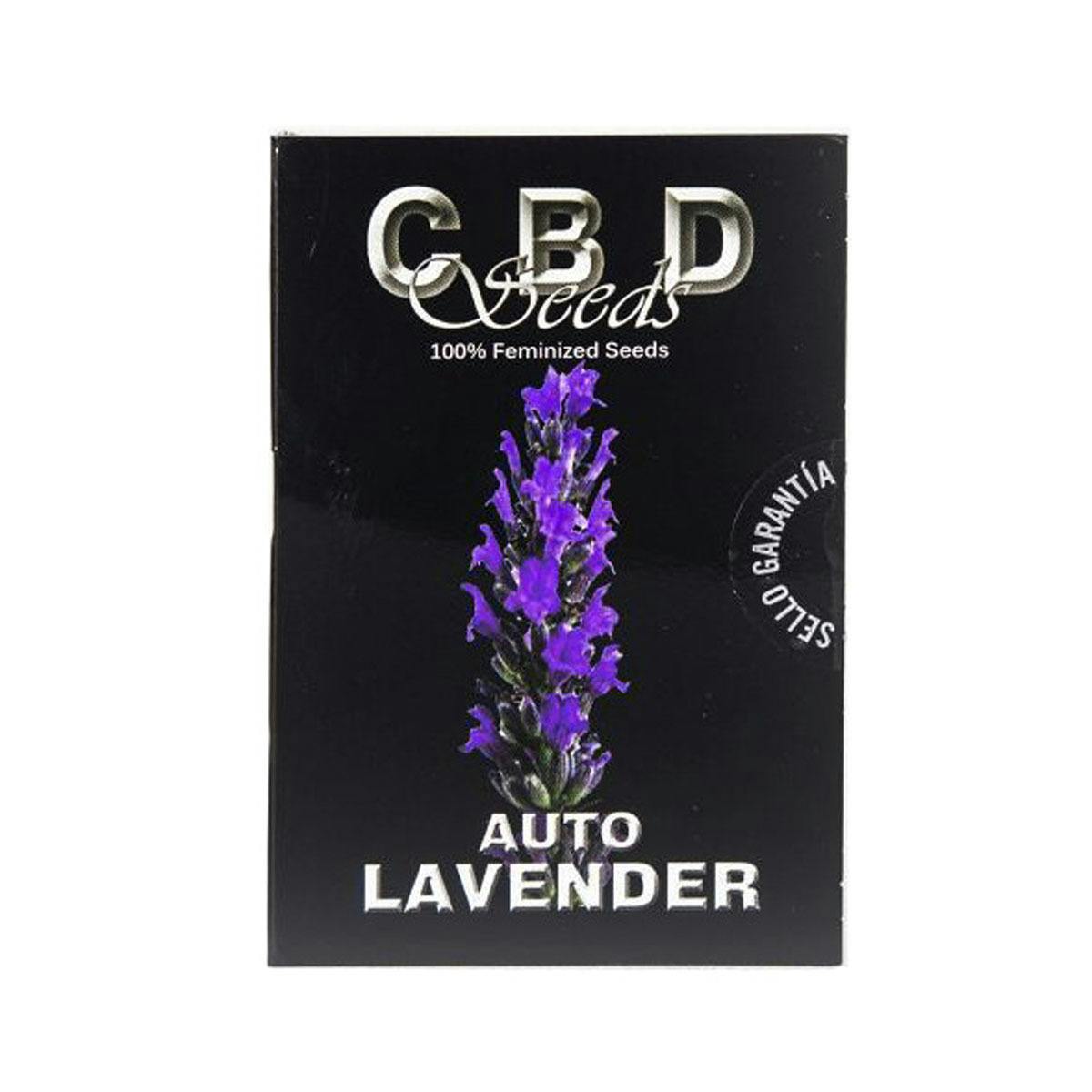 CBD Seeds - Auto Lavender - 1