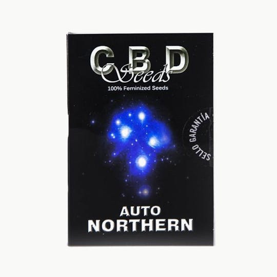 CBD Seeds - Auto Northern - 1