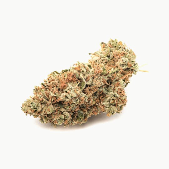 Pakalolo Supply Company - PSC | Green Crack | Flower | 3.5G - 1