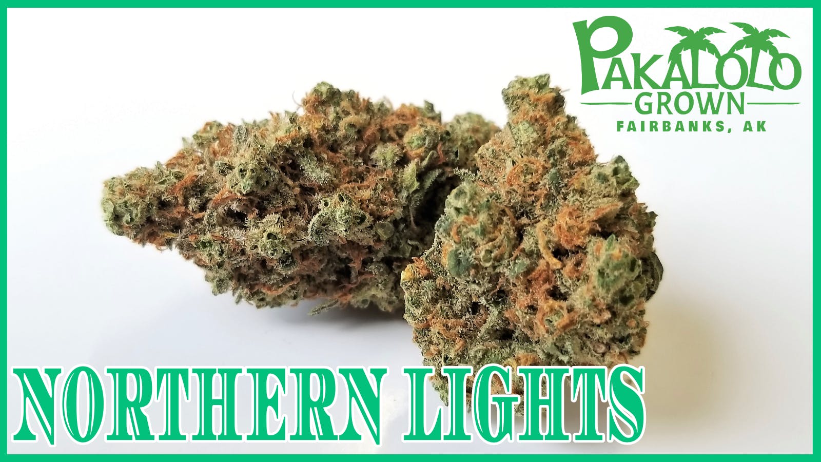 Pakalolo Supply Company - PSC | Northern Lights | Flower | 3.5G - 1