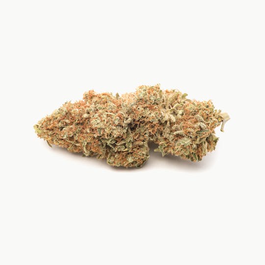 Pakalolo Supply Company - Northern Lights - 1