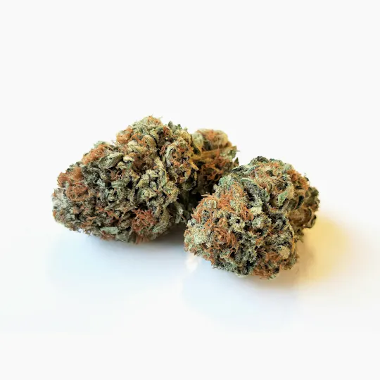 Pakalolo Supply Company - PSC | Mauna Kea | Flower | 3.5G - 1