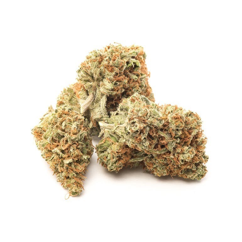 Pakalolo Supply Company - PSC | Paka Cookies | Flower | 3.5G - 1