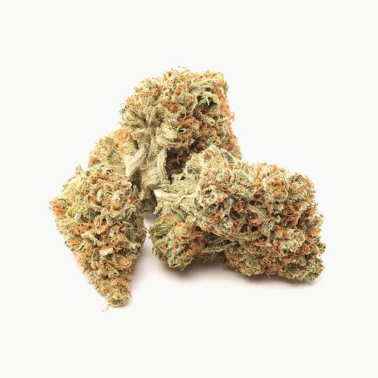 Pakalolo Supply Company - PSC | Paka Cookies | Flower | 3.5G - 1