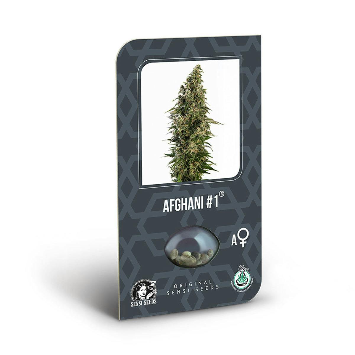Sensi Seeds - Afghani #1 Auto - 1