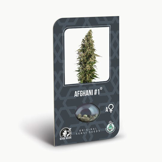Sensi Seeds - Afghani #1 Auto - 1