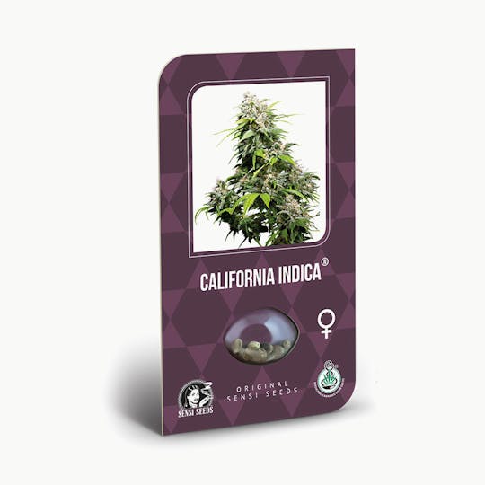 Sensi Seeds - California Indica Feminized - 1