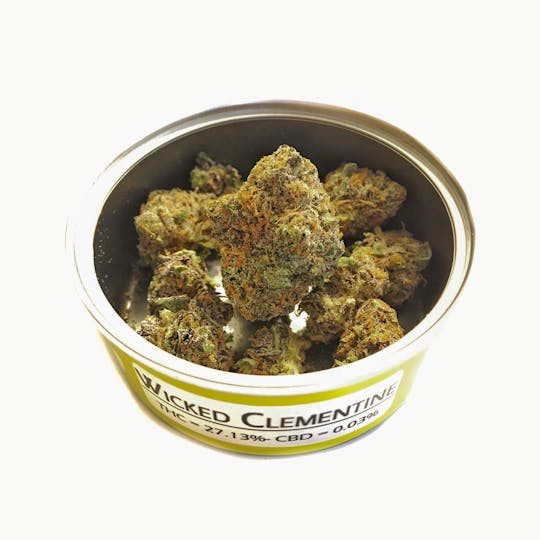 Space Monkey Meds - Wicked Clementine - 1
