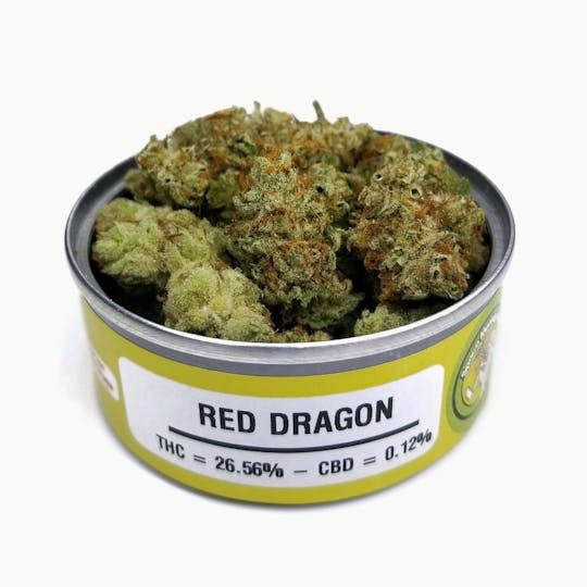 Space Monkey Meds - Red Dragon - 1