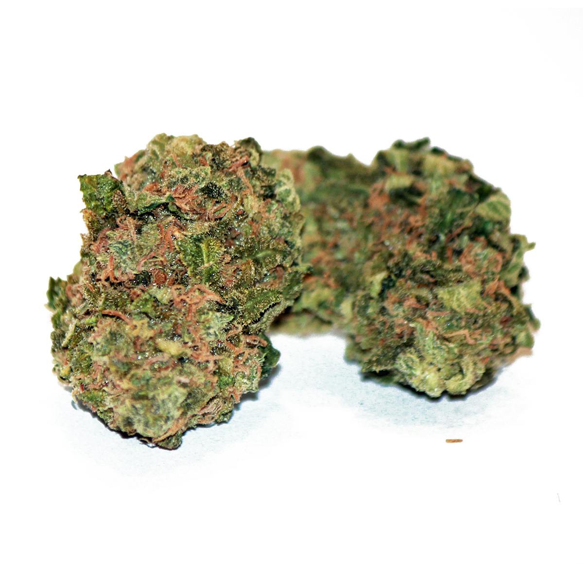 Pine Street Cannabis Company - Pine Street | Original Skunk #1 | Flower - 1