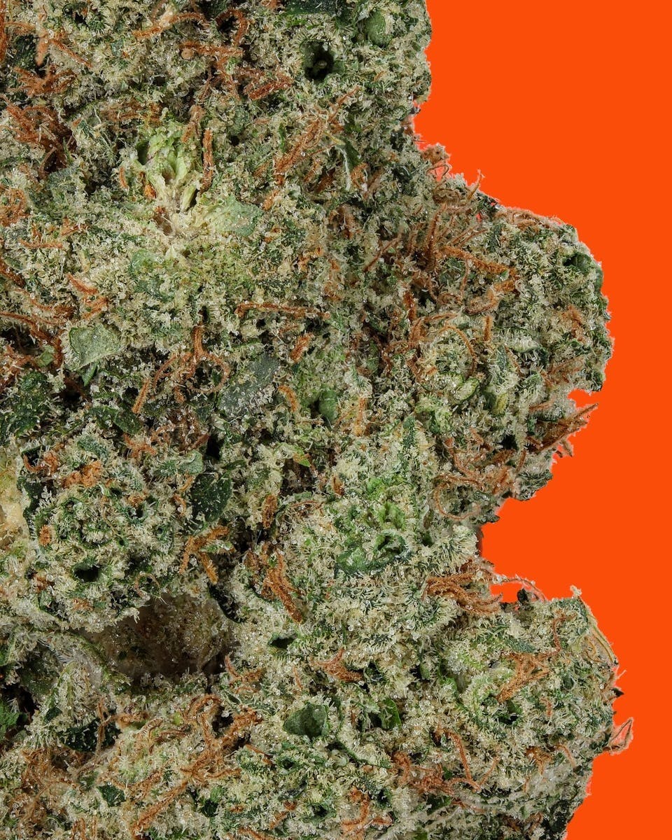 IC Collective - ICC | Chem Krush | Big Buds | 3.5G - 1