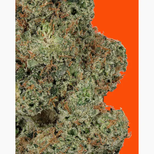 IC Collective - ICC | Chem Krush | Big Buds | 3.5G - 1