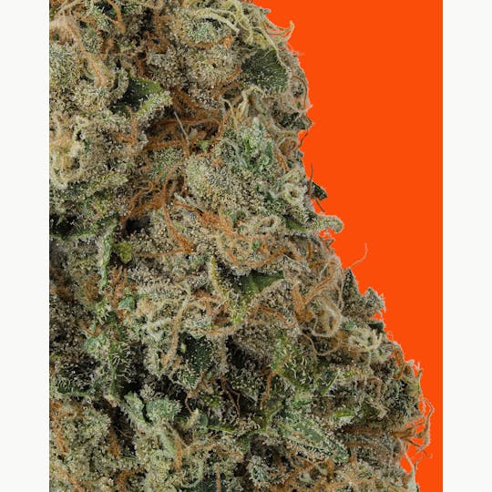 IC Collective - Chem Fruit - 1