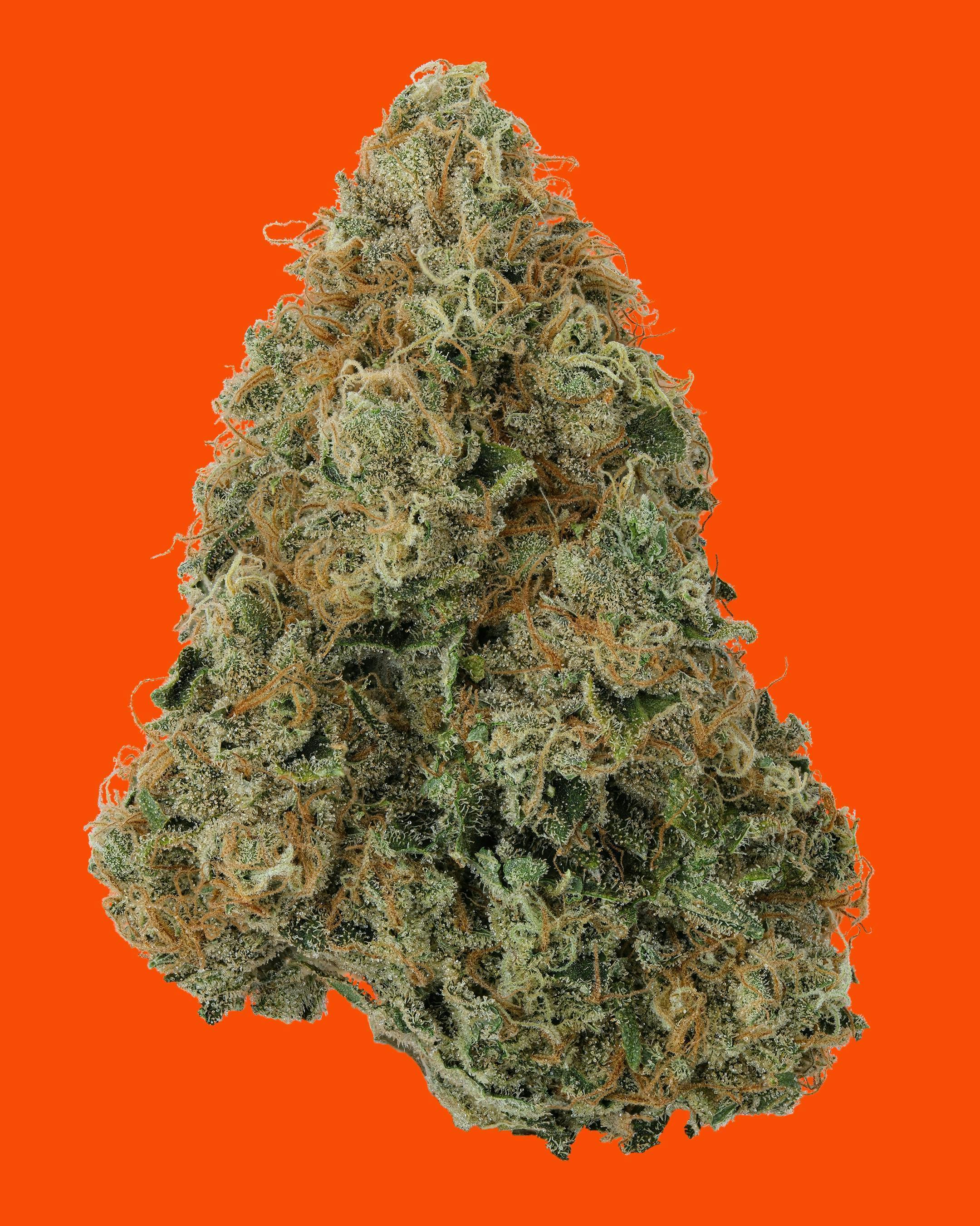 IC Collective - ICC | Chem Fruit | Big Buds | 3.5G - 1