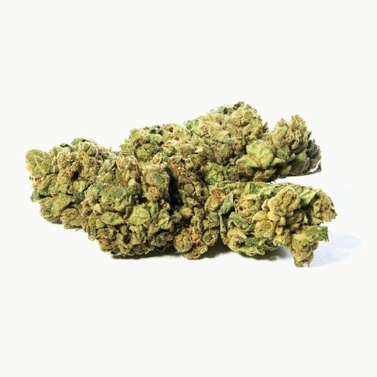 CBD420 - Swiss Cheese - 1