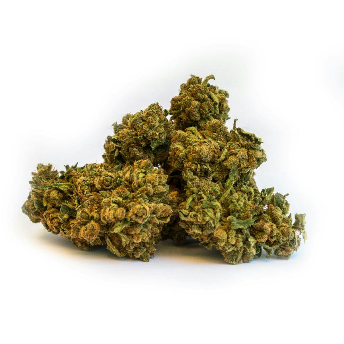 Swiss Hempcare - Purple Magic - 1