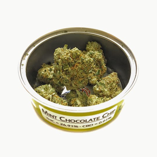 Space Monkey Meds - Mint Chocolate Chip - 1