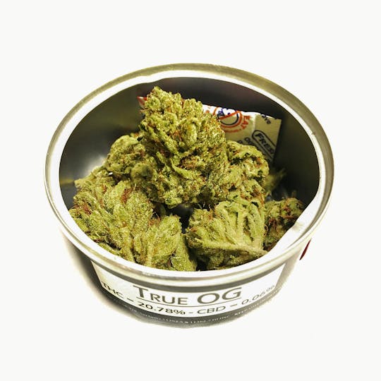 Space Monkey Meds - True OG (Greenhouse) - 1
