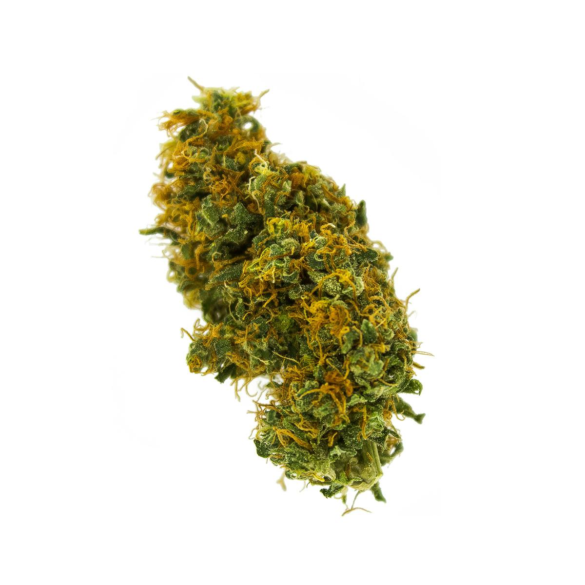 Green Club - Durban Poison - 1