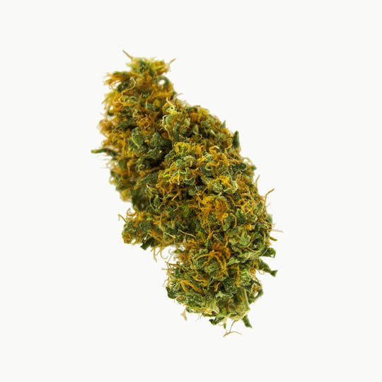 Green Club - Durban Poison - 1