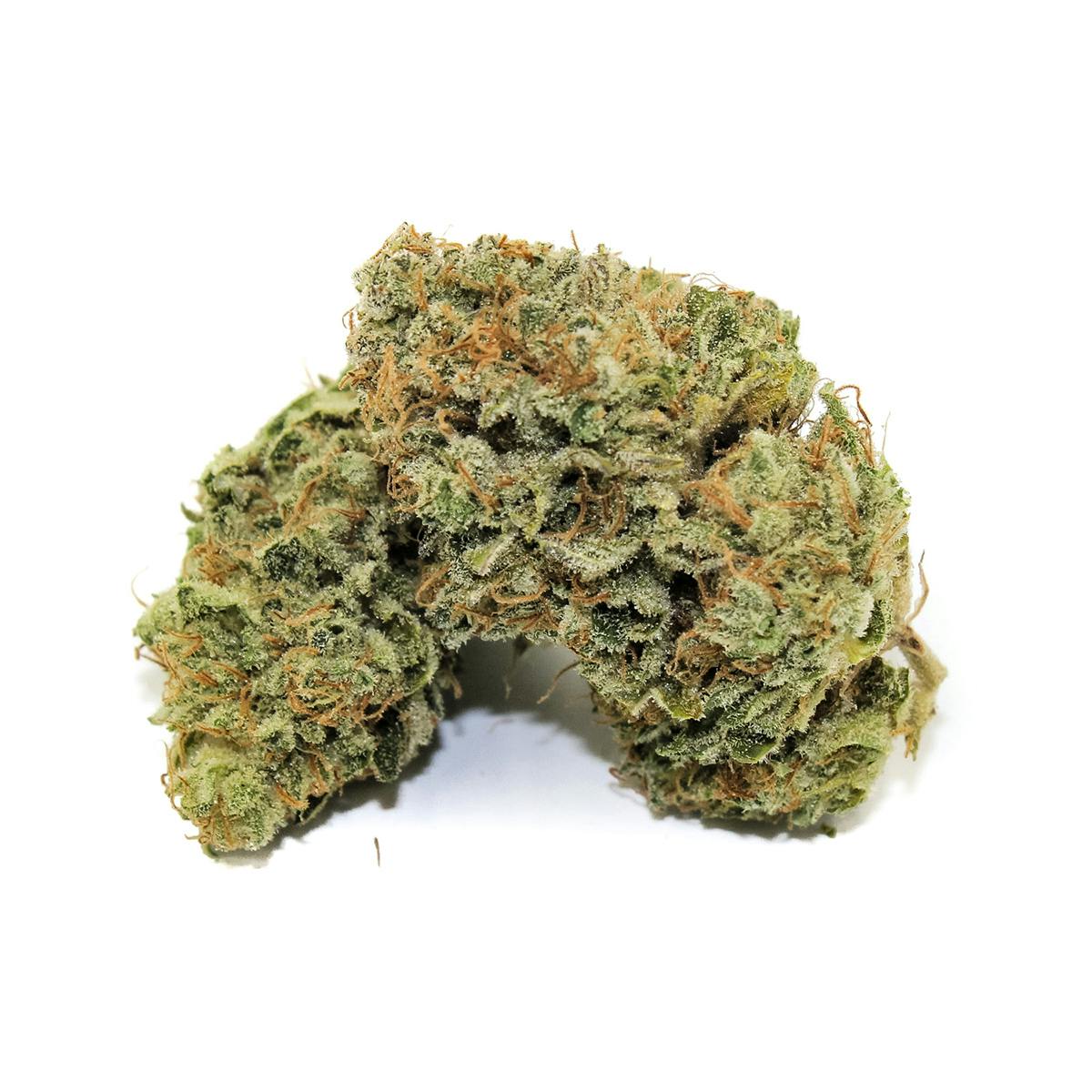 Pine Street Cannabis Company - Pine Street | Power Flower | Flower - 1