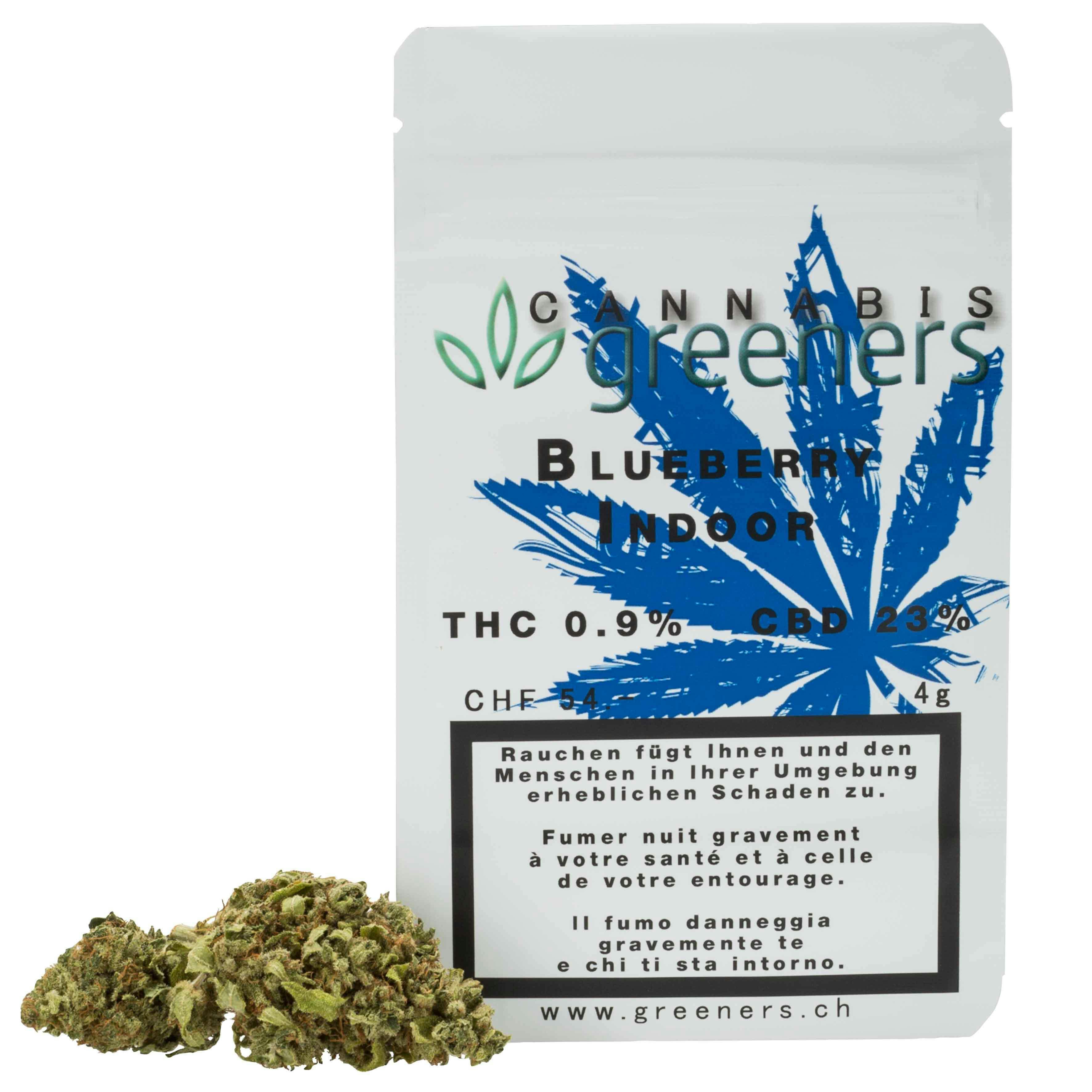 Greeners - Blueberry Indoor - 1