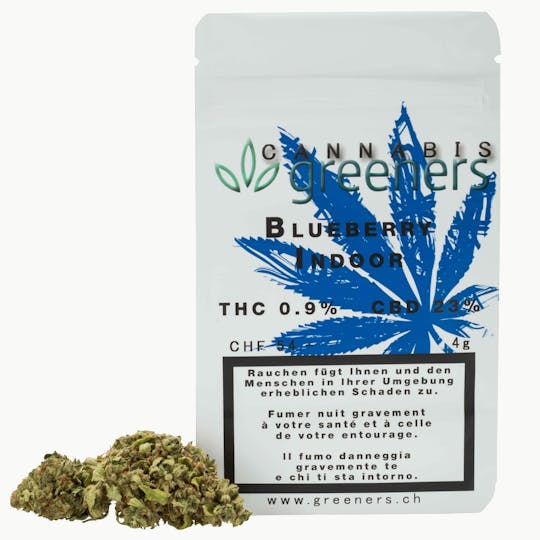 Greeners - Blueberry Indoor - 1