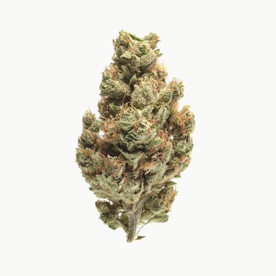 Kumba Hills Farms - Tangieland - 1