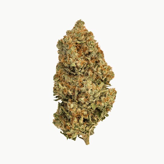 Kumba Hills Farms - Bruce Banner - 1
