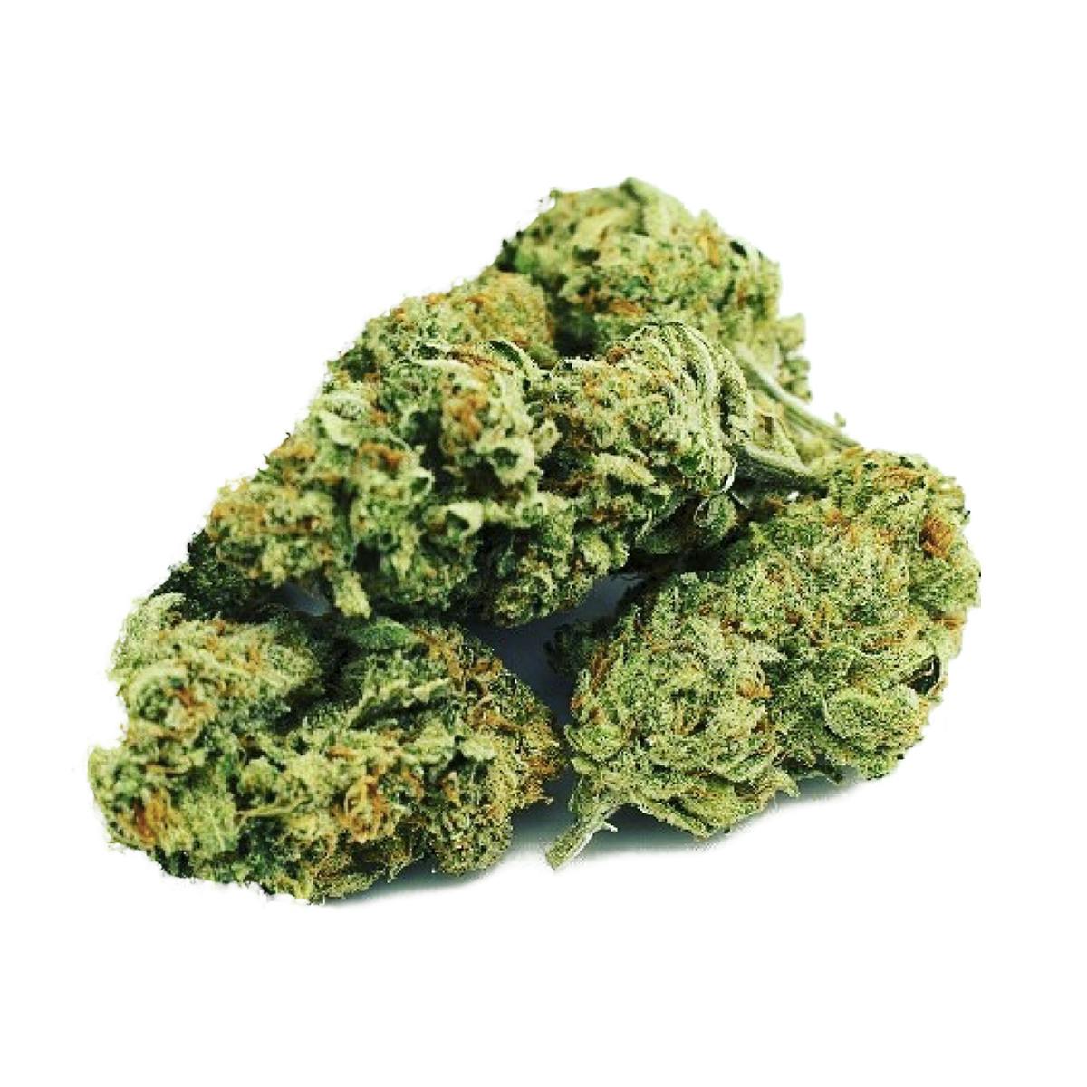Kumba Hills Farms - Kumba | Wicked Glue | Flower - 1