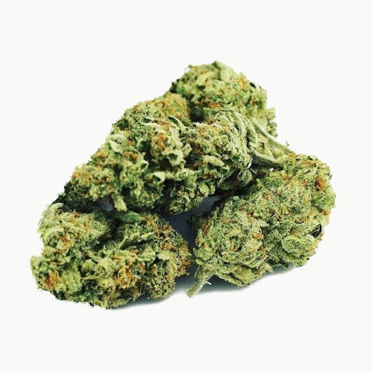 Kumba Hills Farms - Wicked Glue - 1