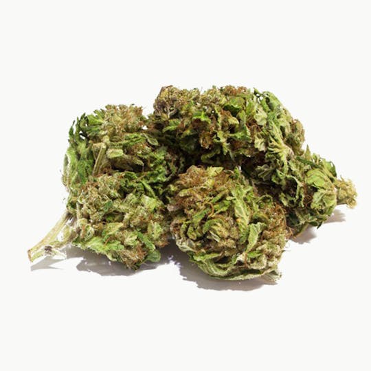 Mister Nice - Premium-CBD Honey Kush - 1