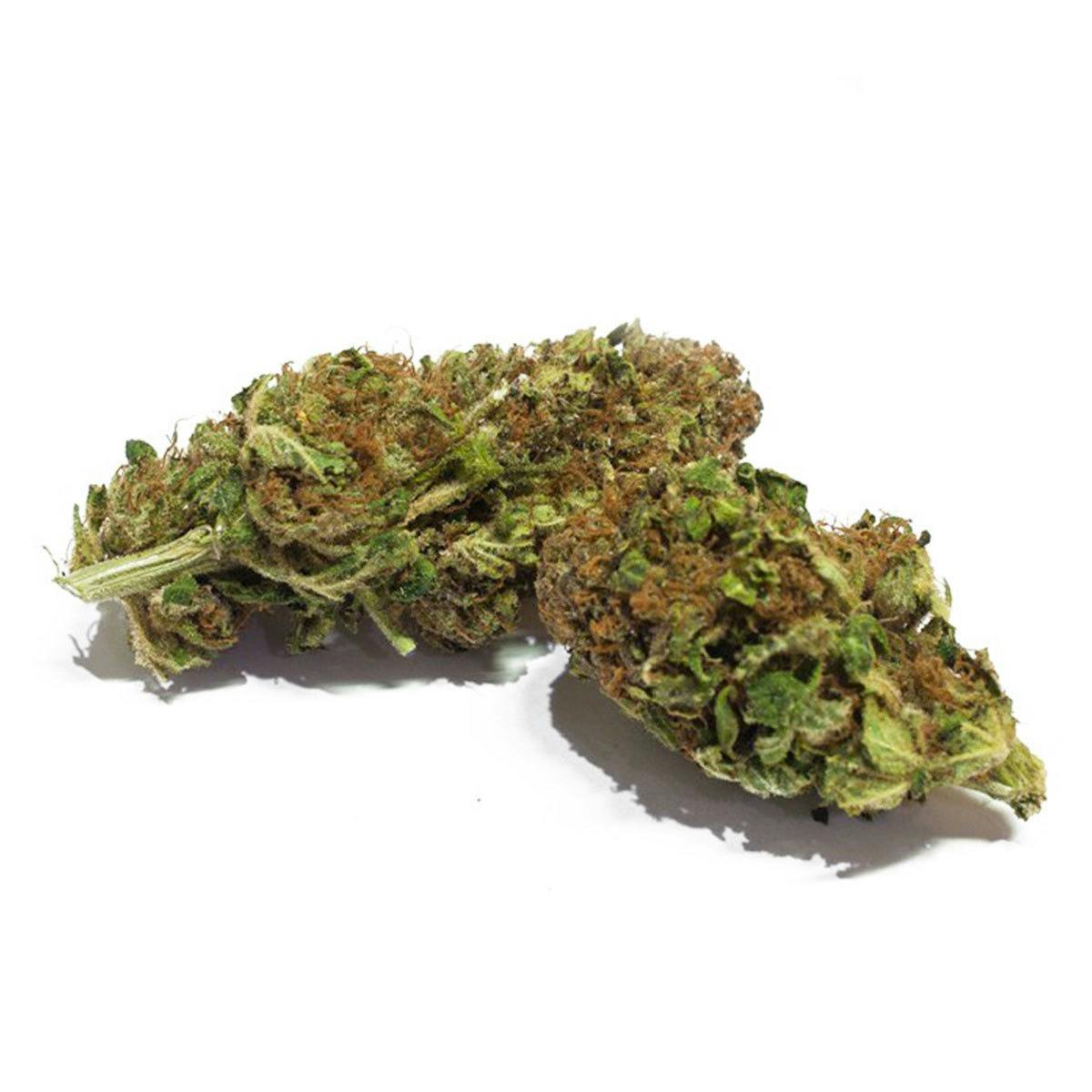 Mister Nice - Premium-CBD Ultra Violet - 1