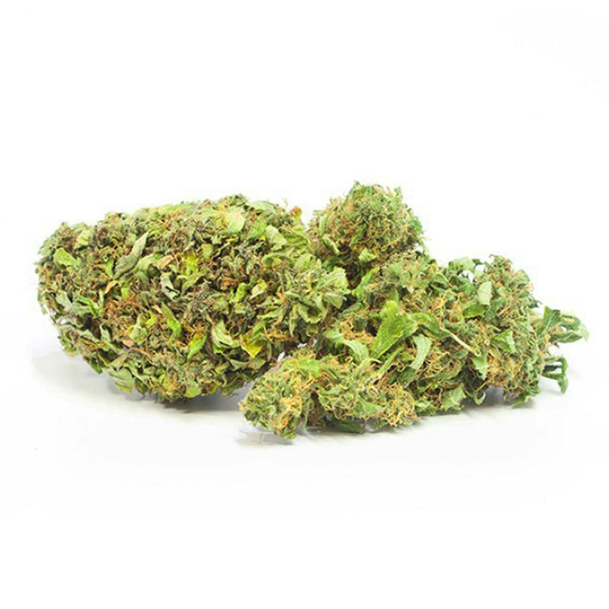 Mister Nice - Nice choice-CBD Buddha Bud - 1