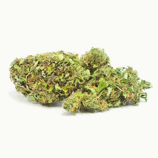 Mister Nice - Nice choice-CBD Buddha Bud - 1