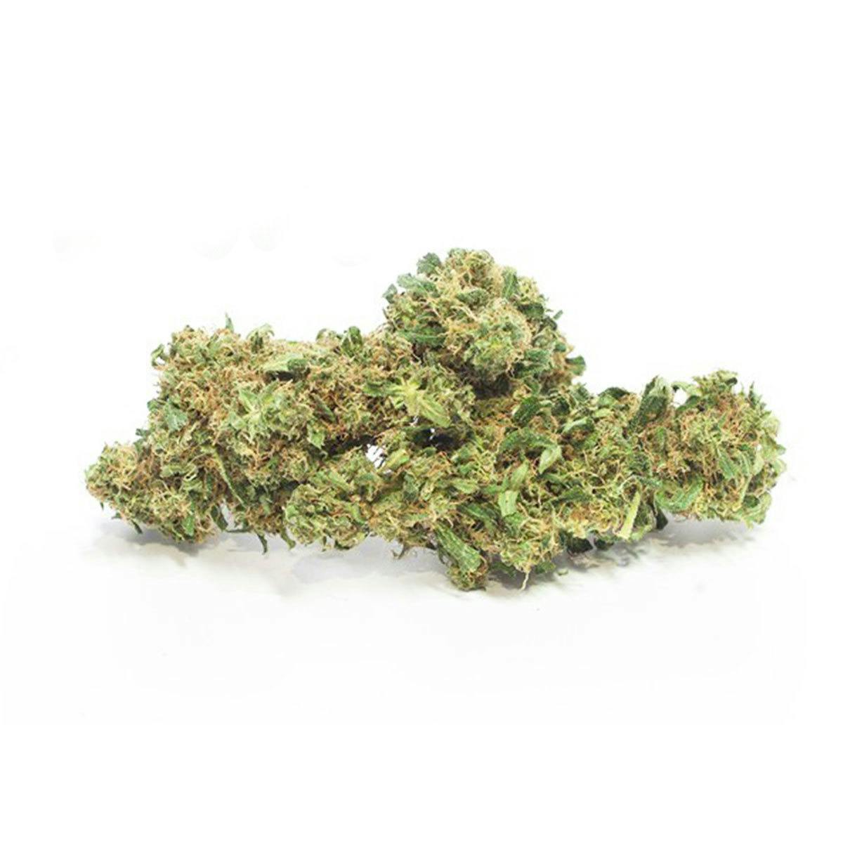 Mister Nice - Nice choice-CBD Jungle Dope - 1