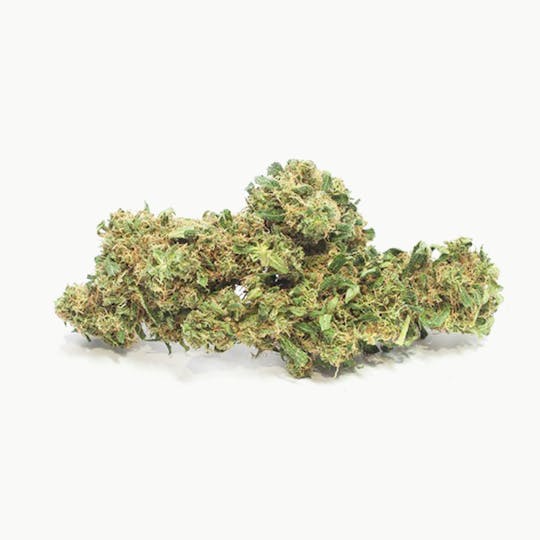 Mister Nice - Nice choice-CBD Jungle Dope - 1